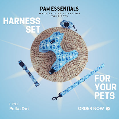 Stylish Baby Blue Polka Dot Harness Set by Paw Essentials, featuring a breathable harness and matching leash.